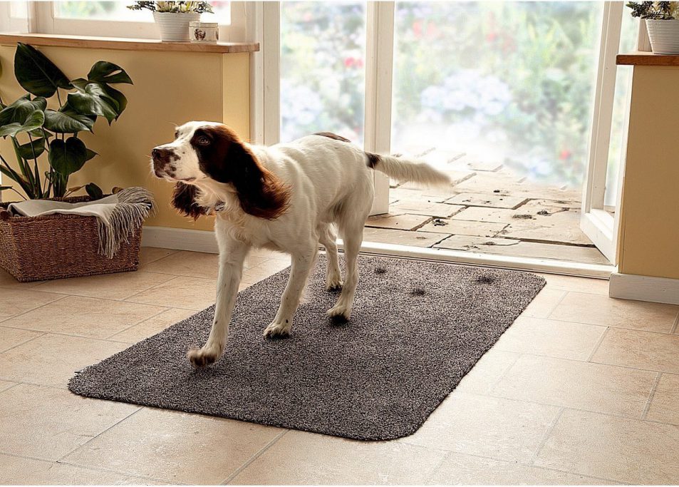 pet rugs and towels