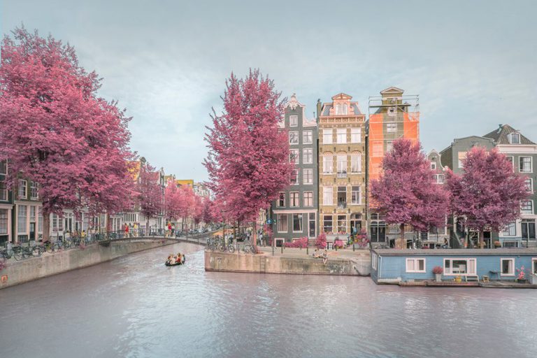 Amsterdam Airbnb occupancy rates