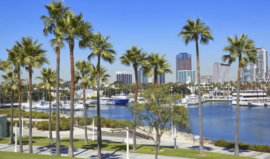 long beach california airbnb occupancy rates