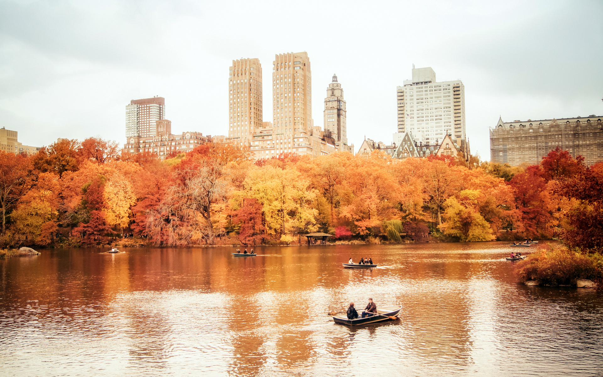 occupancy rates new york city