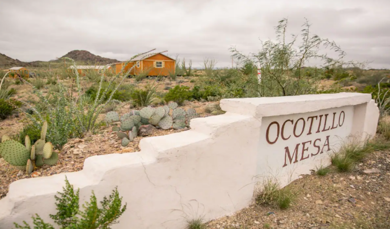 airbnb revenue in terlingua