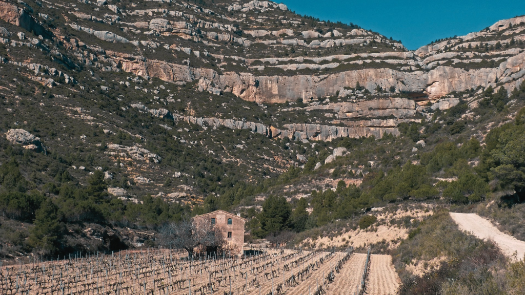 tasas de ocupación regiones vitivínicolas españa