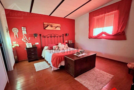 airbnb property for sale Cordoba City Center